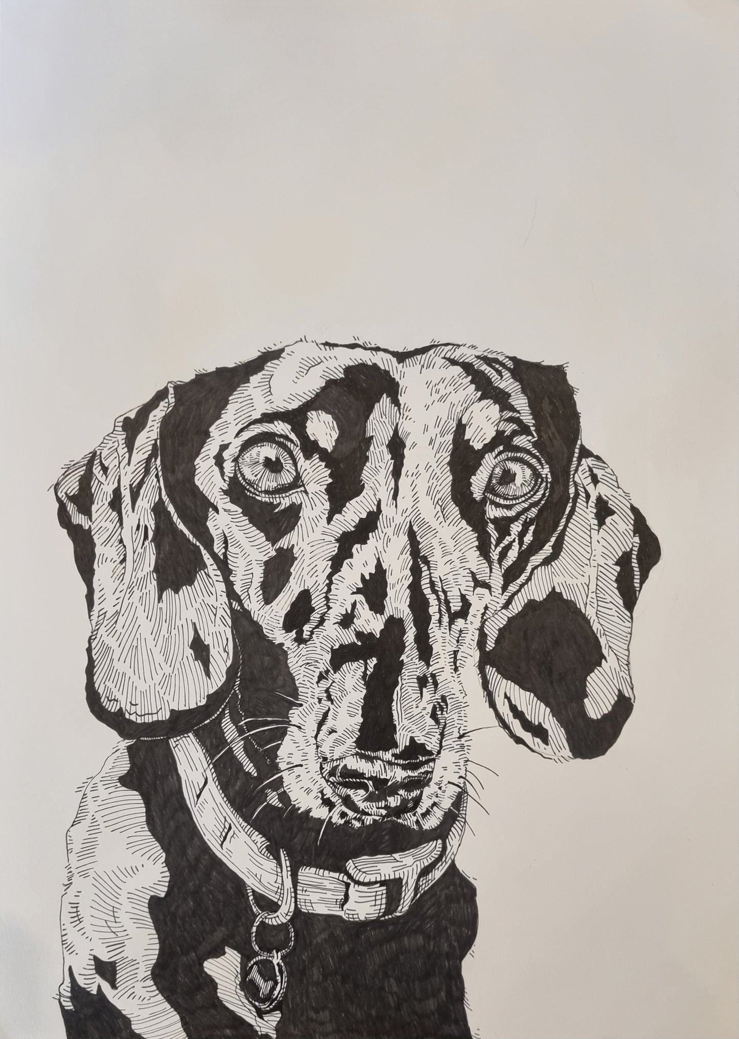 A3 Pet Portrait