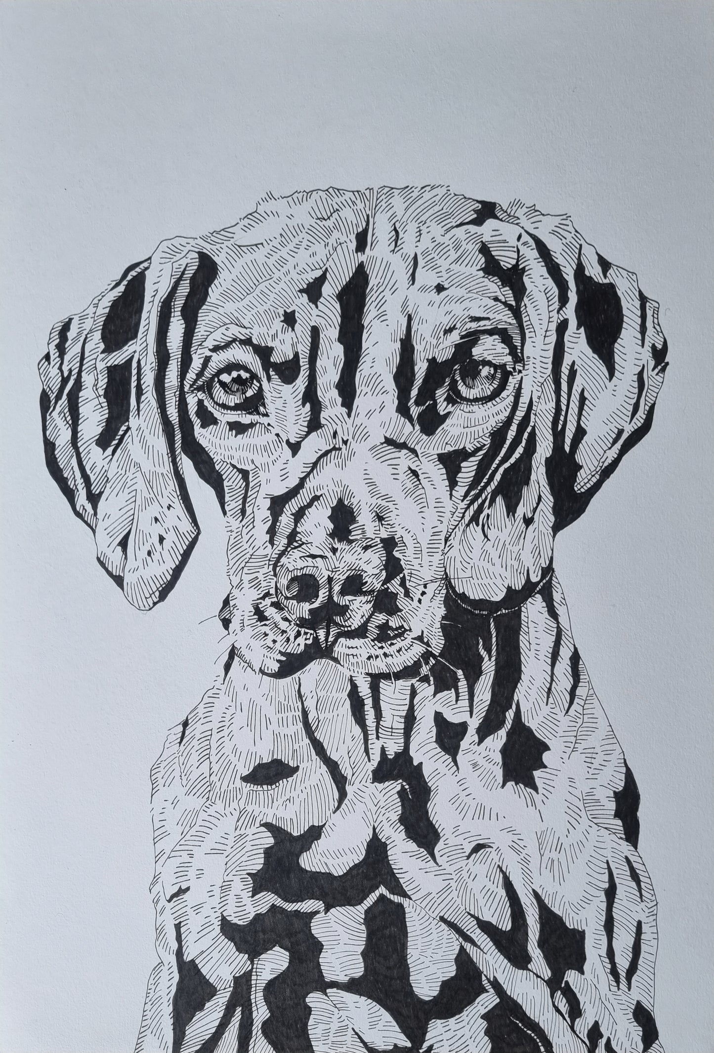 A3 Pet Portrait