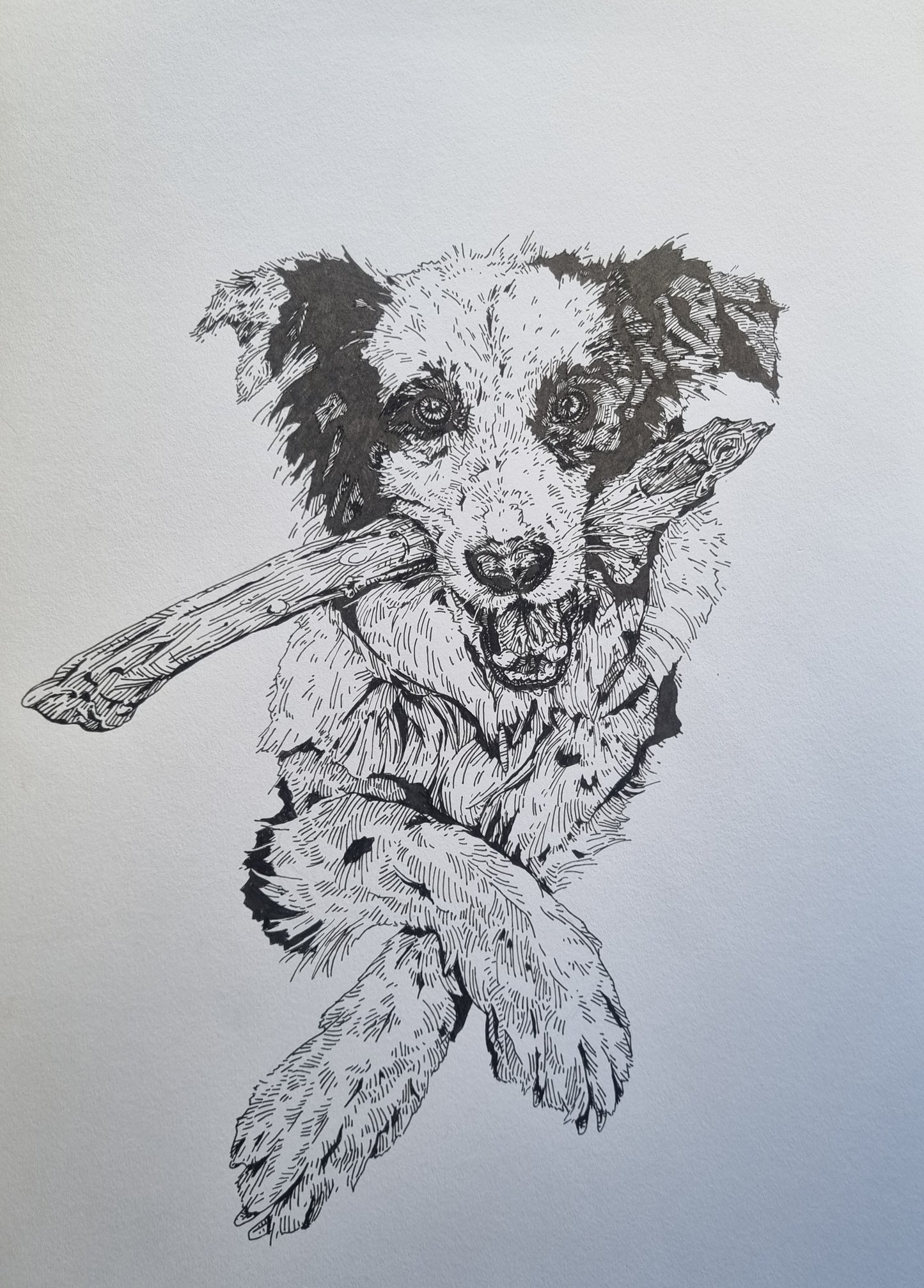 A3 Pet Portrait