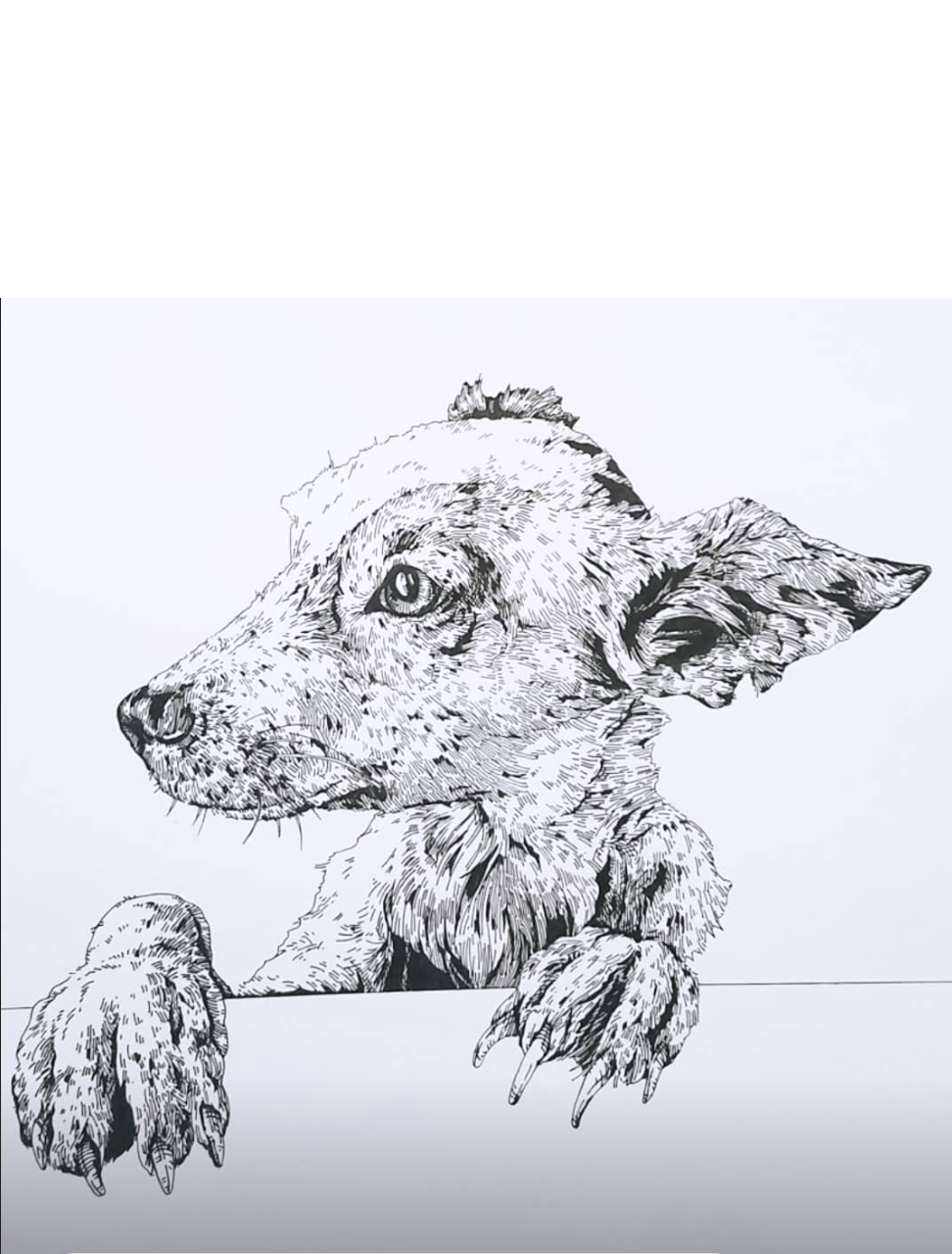 A3 Pet Portrait