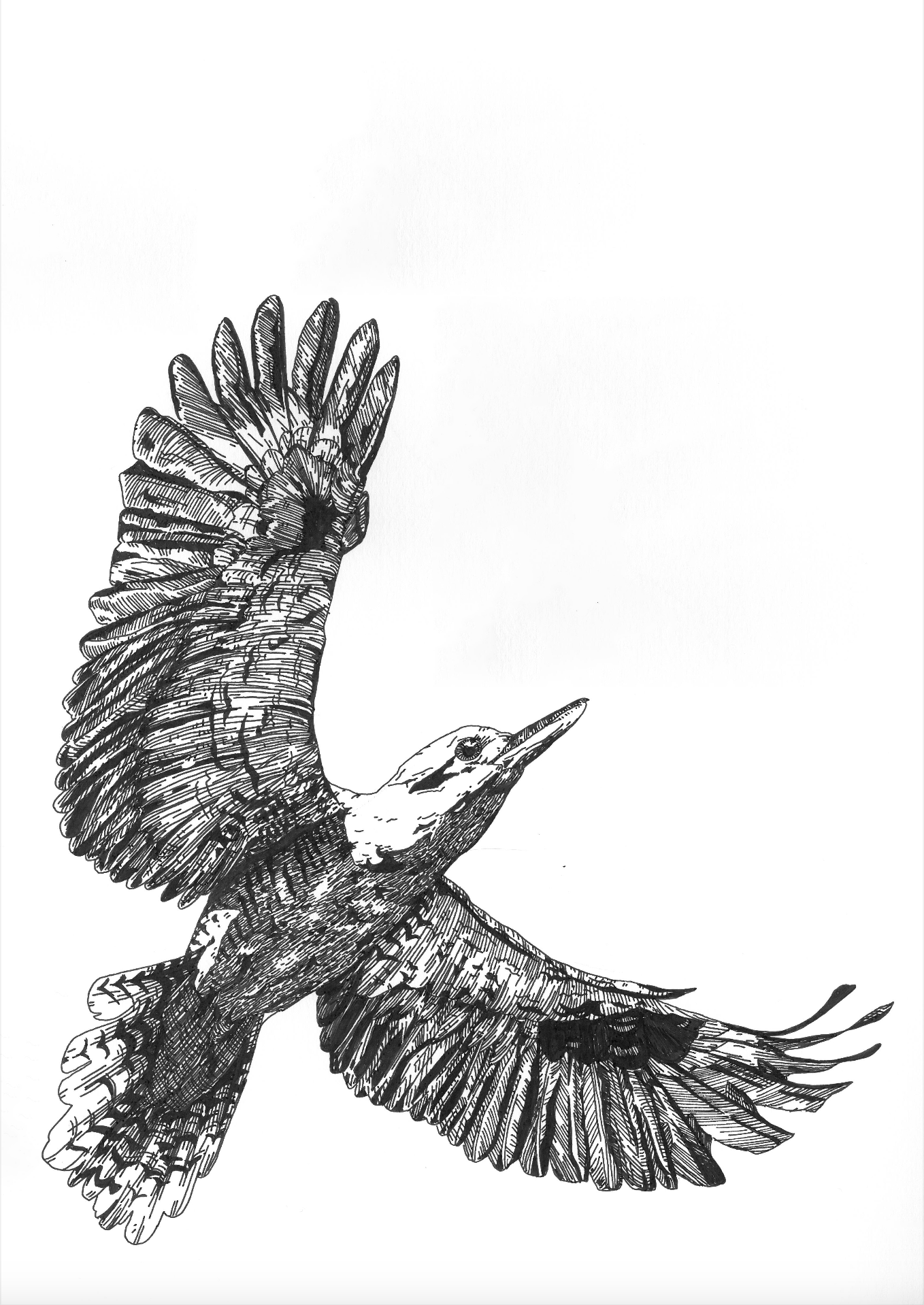 The Fisher Riso Print