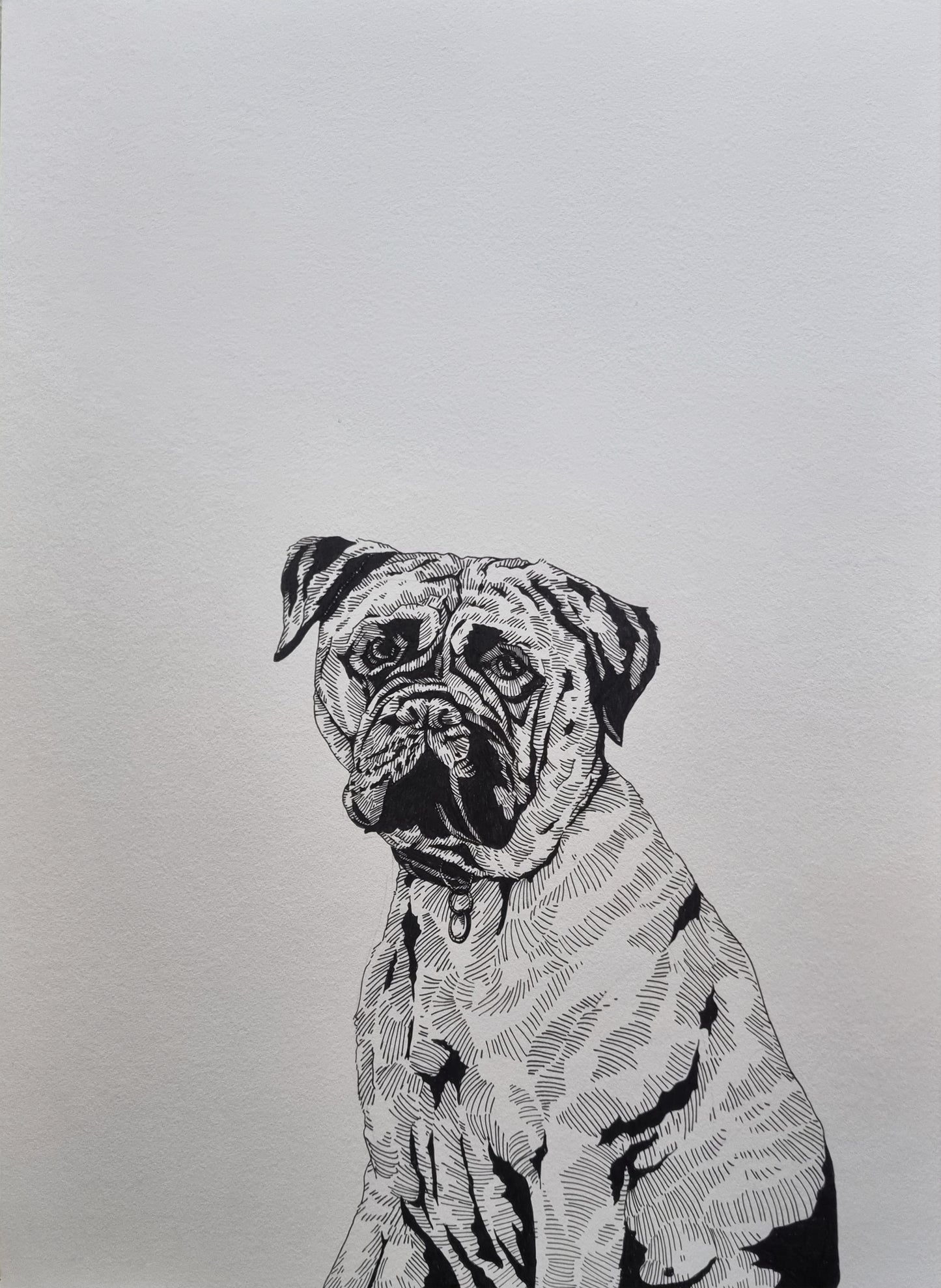 A2 Pet Protrait
