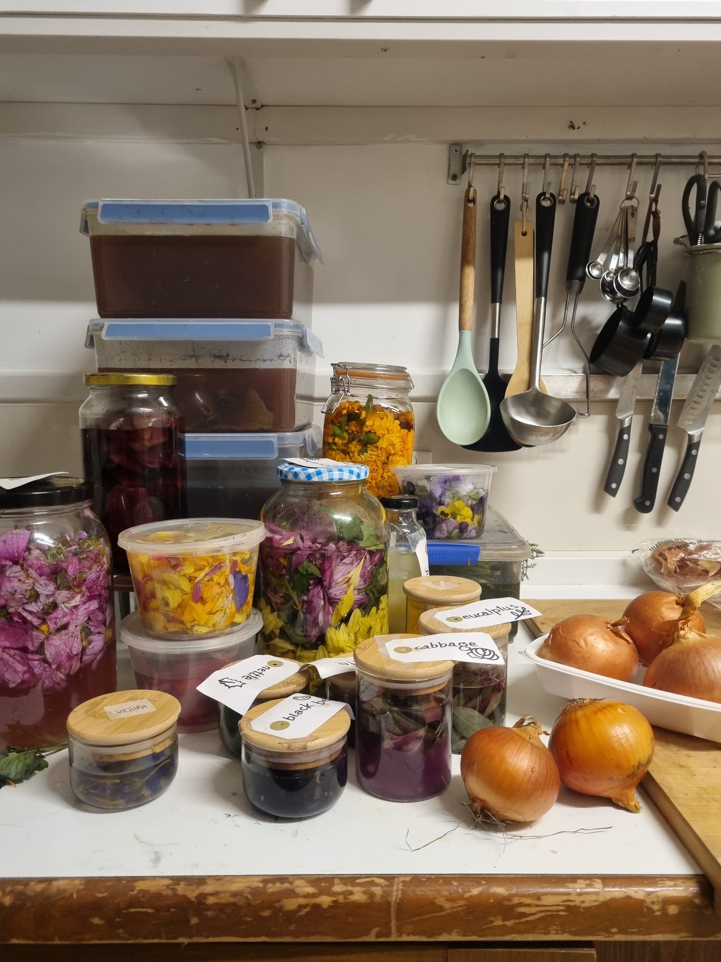 Natural Dyeing 1pm-4pm 17/01/2026