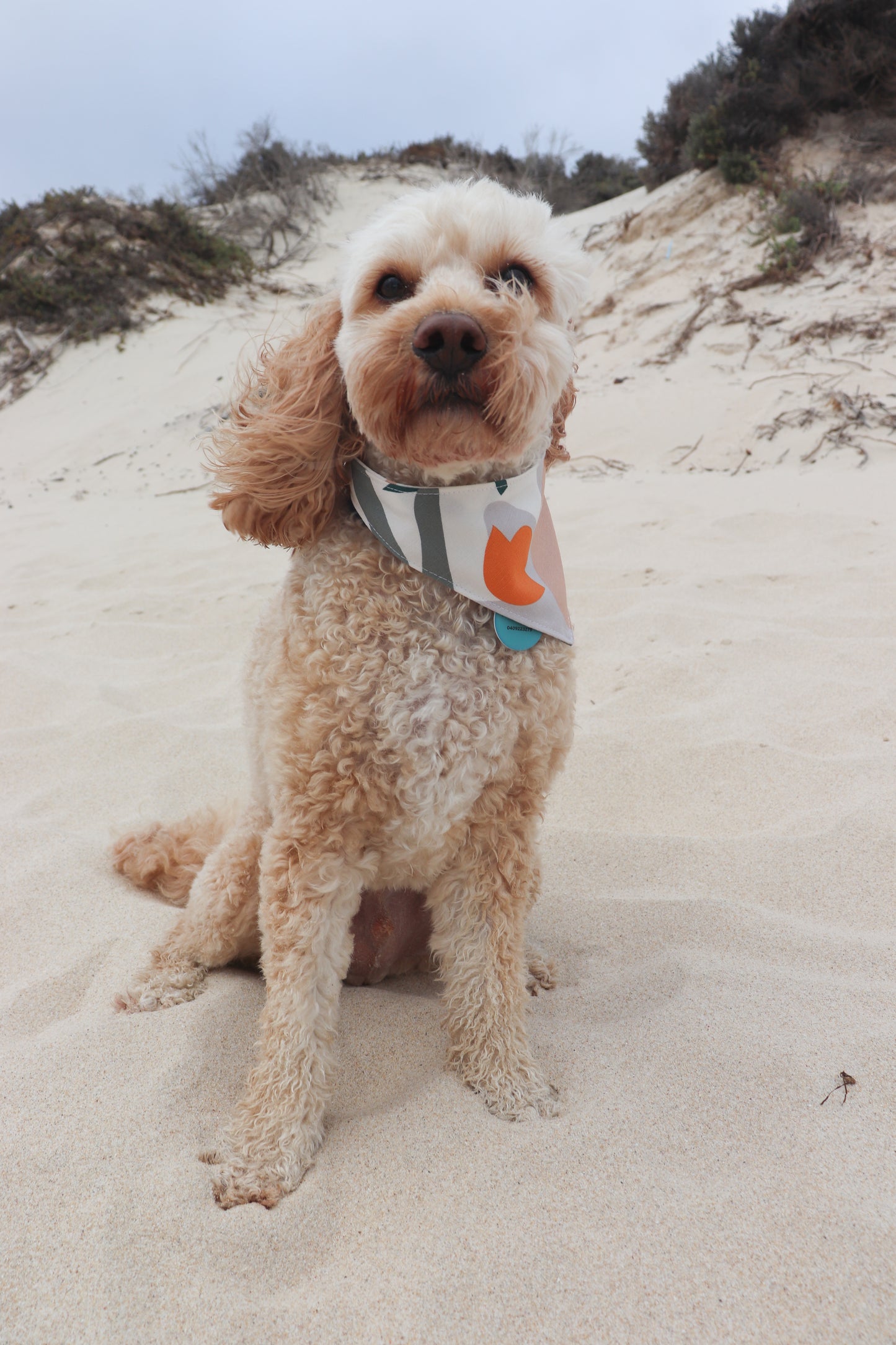 Plant Print Dog Bandana