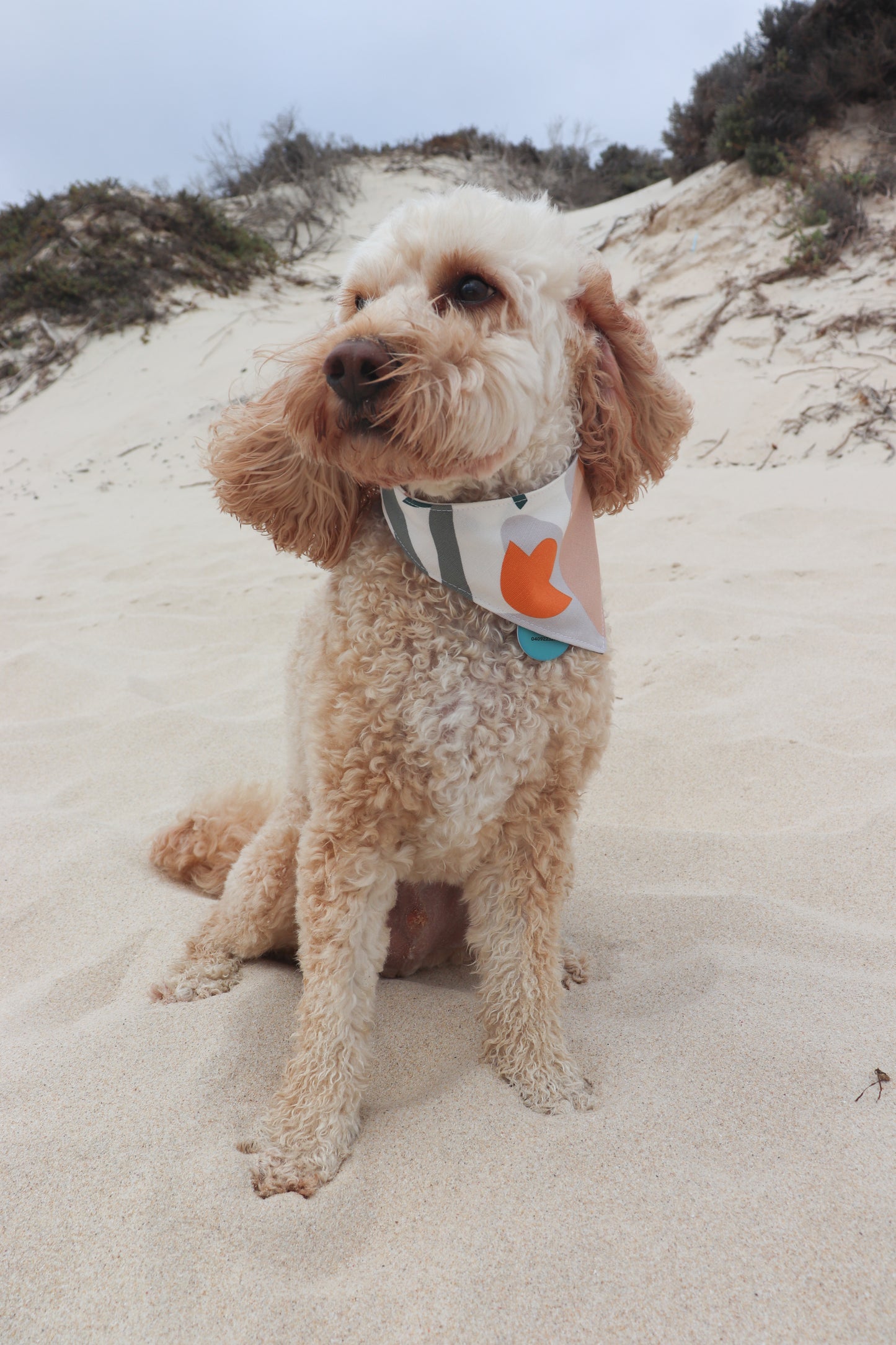 Plant Print Dog Bandana