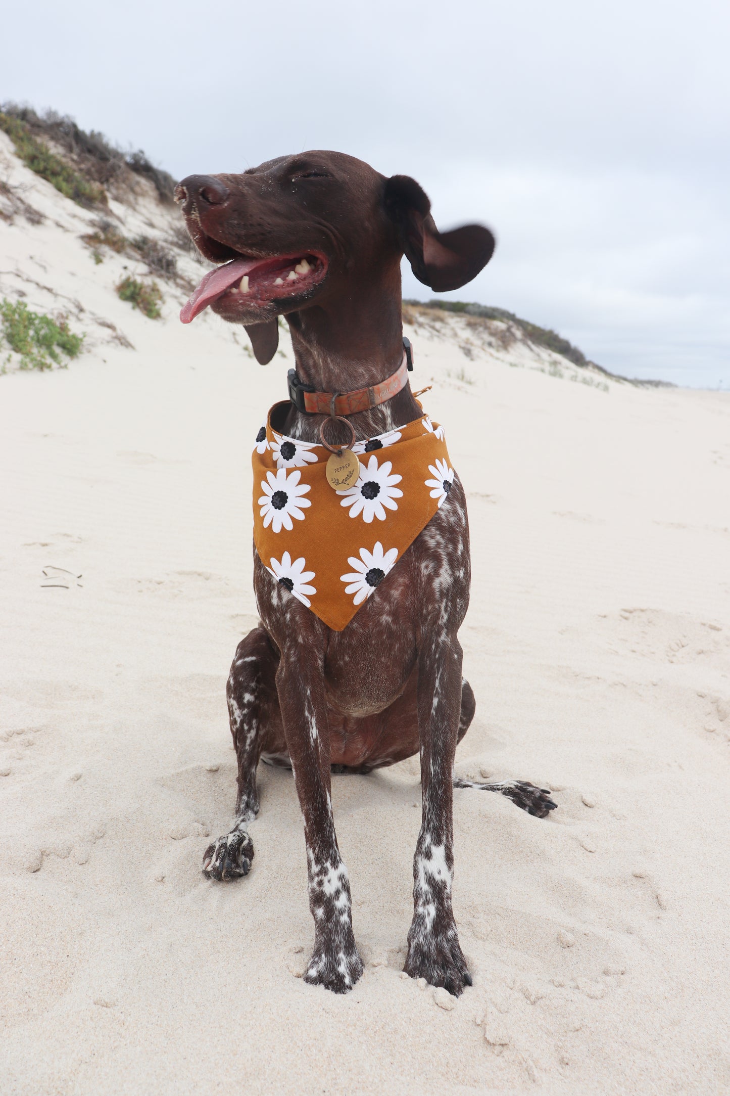 Mustard Daisy Dog Bandana