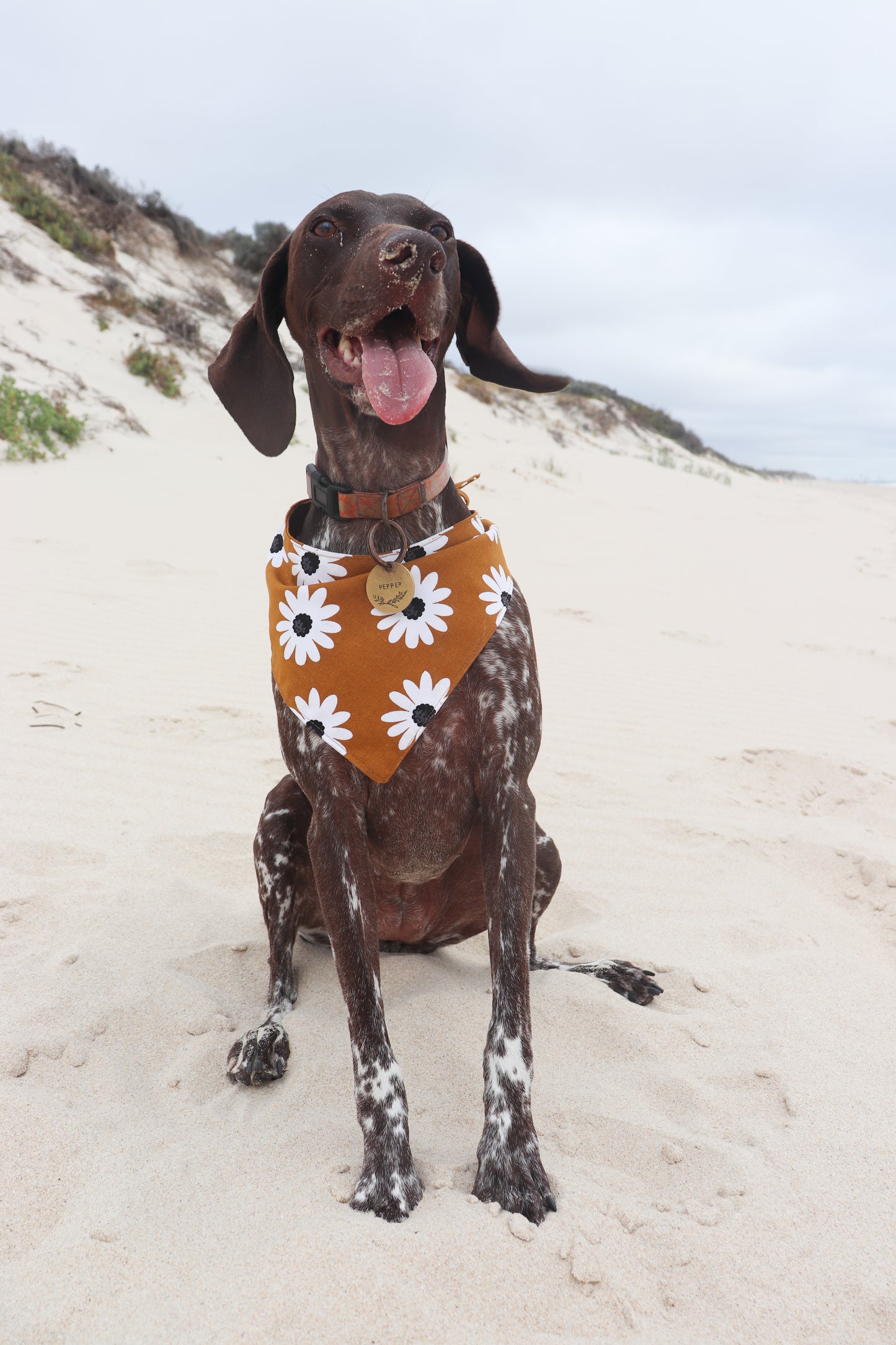 Mustard Daisy Dog Bandana