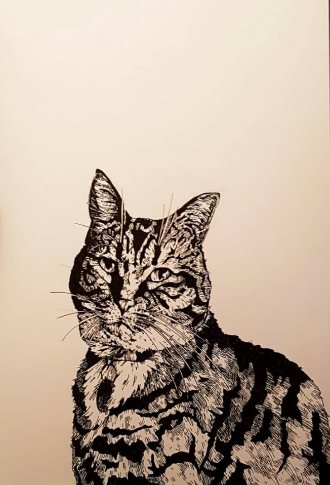 A2 Pet Protrait