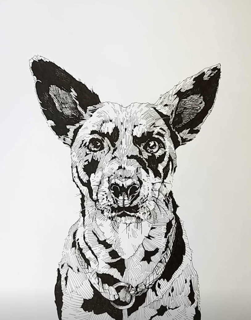 A2 Pet Protrait