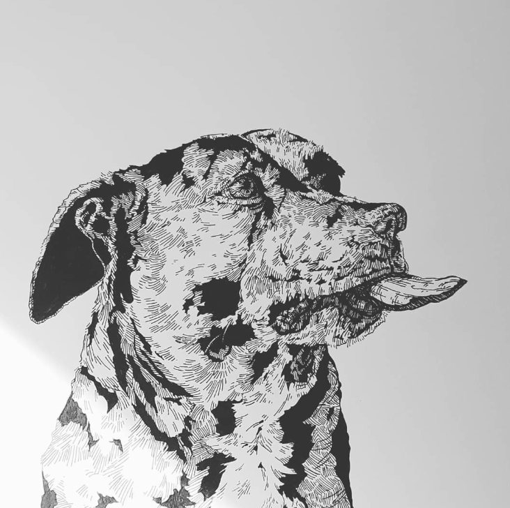A2 Pet Protrait