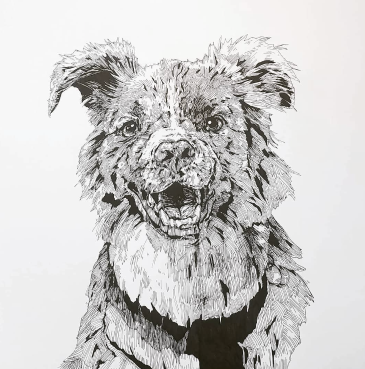 A2 Pet Protrait
