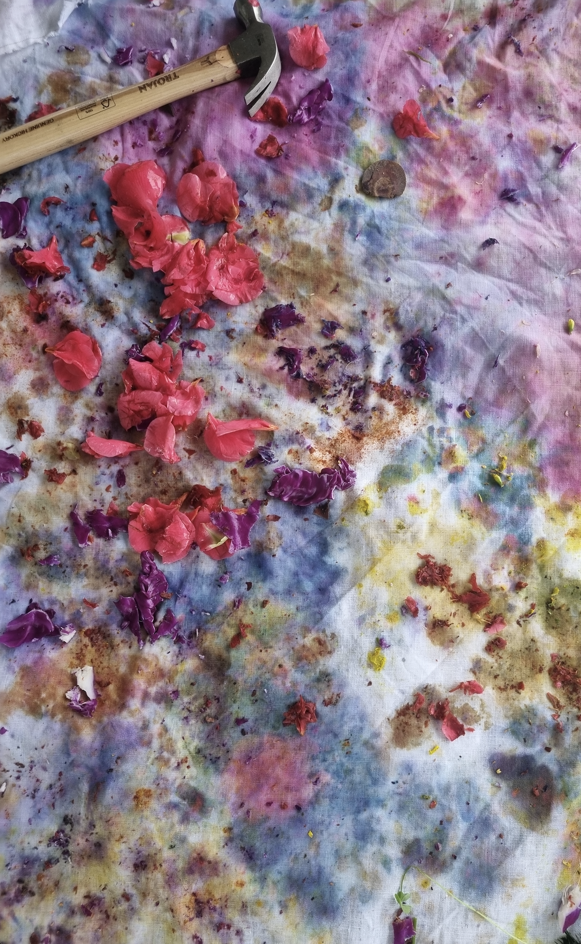 Natural Dyeing 1pm-4pm 17/01/2026