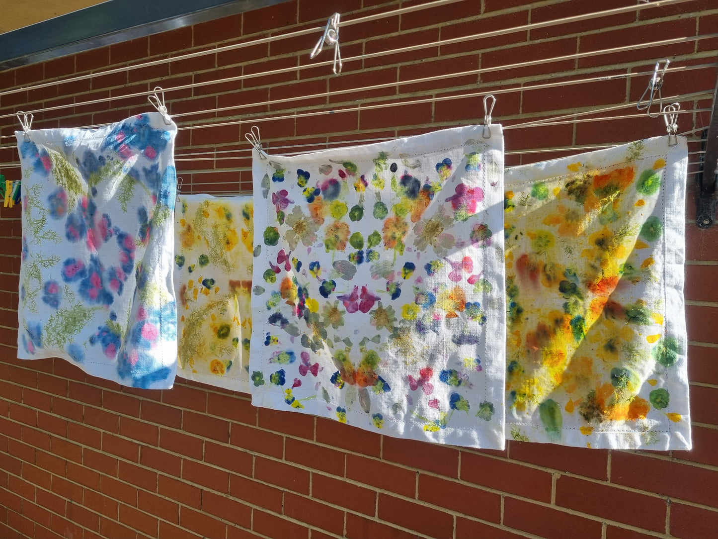 Natural Dyeing 1pm-4pm 17/01/2026